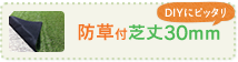 防草付芝丈30mm