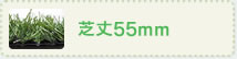 芝丈55mm
