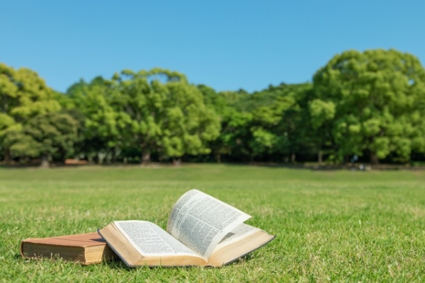 芝生 読書 リラックス 人工芝 活用