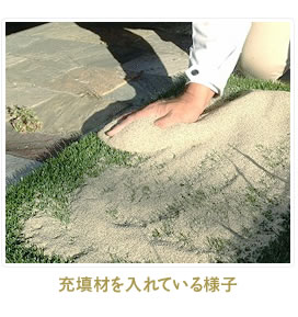 触って気持ちいい芝