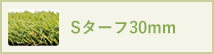 SB30CP1