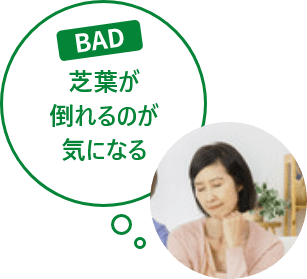 芝葉が倒れるのが気になる