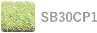 SB30CP1