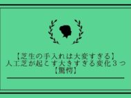 芝生の手入れは大変すぎる 人工芝が起こす大きすぎる変化３つ 驚愕 芝人